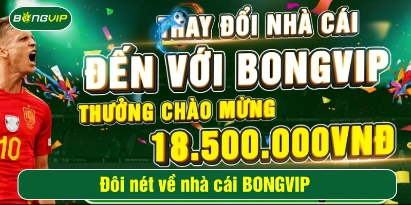Bongvip ra mắt thị trường